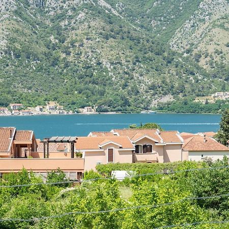 Apartmán Sunshine Kotor Exteriér fotografie