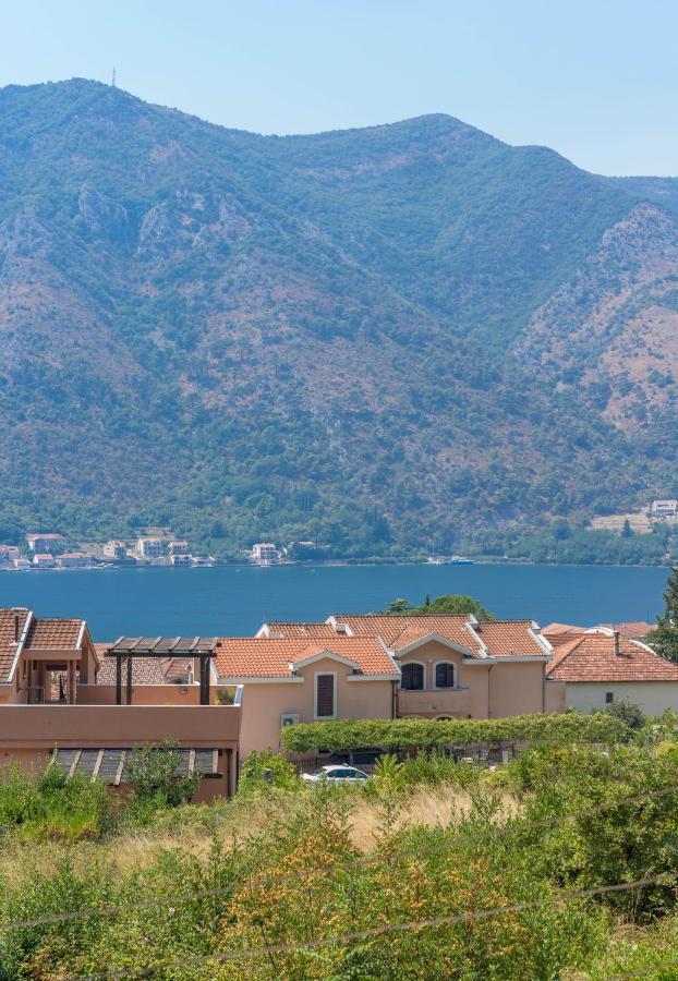 Apartmán Sunshine Kotor Exteriér fotografie